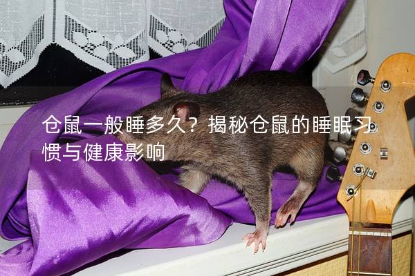 仓鼠一般睡多久？揭秘仓鼠的睡眠习惯与健康影响