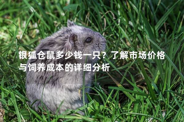 银狐仓鼠多少钱一只？了解市场价格与饲养成本的详细分析