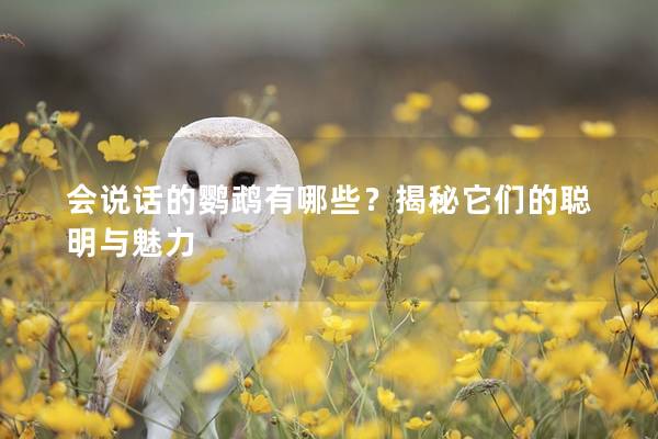 会说话的鹦鹉有哪些？揭秘它们的聪明与魅力