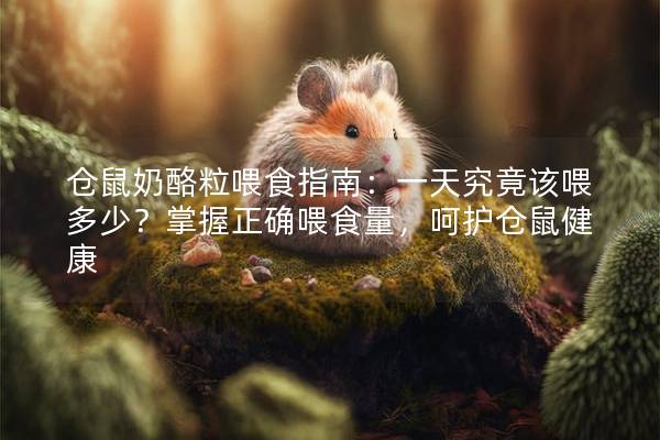 仓鼠奶酪粒喂食指南：一天究竟该喂多少？掌握正确喂食量，呵护仓鼠健康