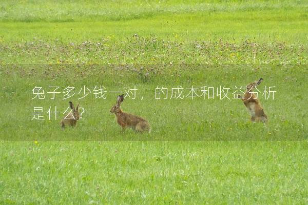 兔子多少钱一对，的成本和收益分析是什么？