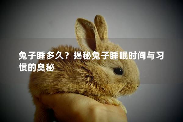 兔子睡多久？揭秘兔子睡眠时间与习惯的奥秘