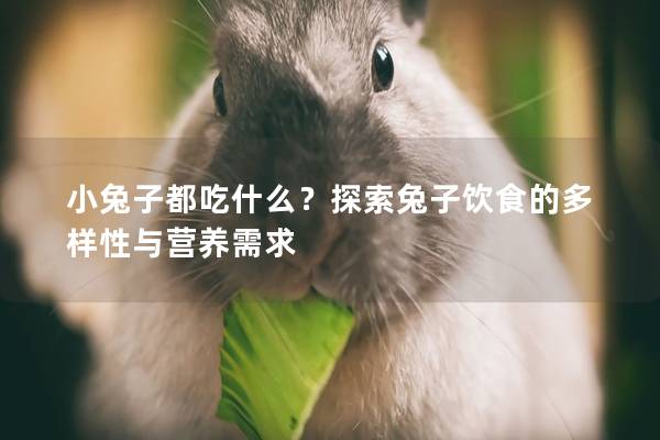 小兔子都吃什么？探索兔子饮食的多样性与营养需求