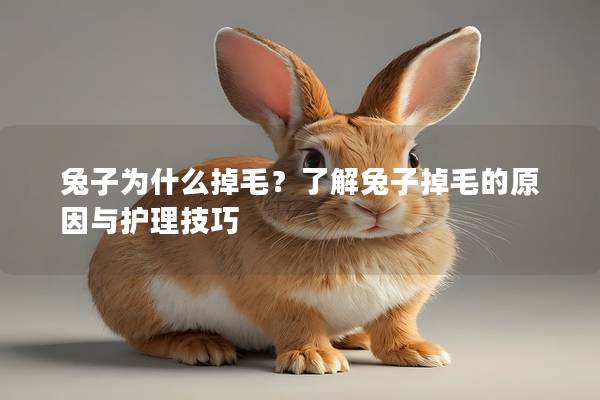 兔子为什么掉毛？了解兔子掉毛的原因与护理技巧