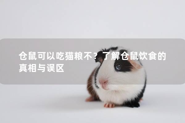 仓鼠可以吃猫粮不？了解仓鼠饮食的真相与误区