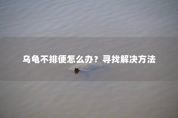 乌龟不排便怎么办？寻找解决方法