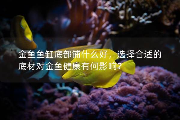金鱼鱼缸底部铺什么好，选择合适的底材对金鱼健康有何影响？