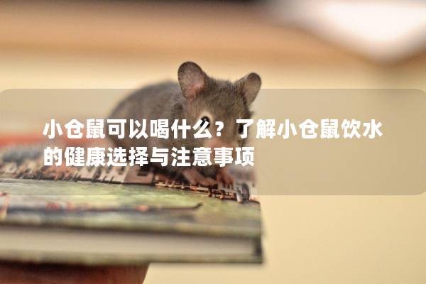 小仓鼠可以喝什么？了解小仓鼠饮水的健康选择与注意事项