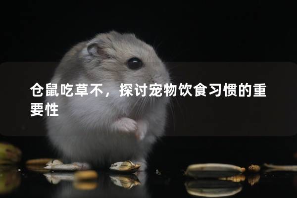 仓鼠吃草不，探讨宠物饮食习惯的重要性