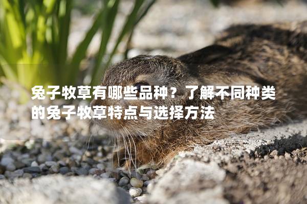 兔子牧草有哪些品种？了解不同种类的兔子牧草特点与选择方法