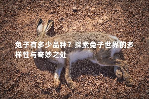 兔子有多少品种？探索兔子世界的多样性与奇妙之处