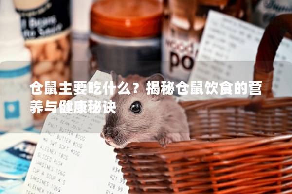 仓鼠主要吃什么？揭秘仓鼠饮食的营养与健康秘诀