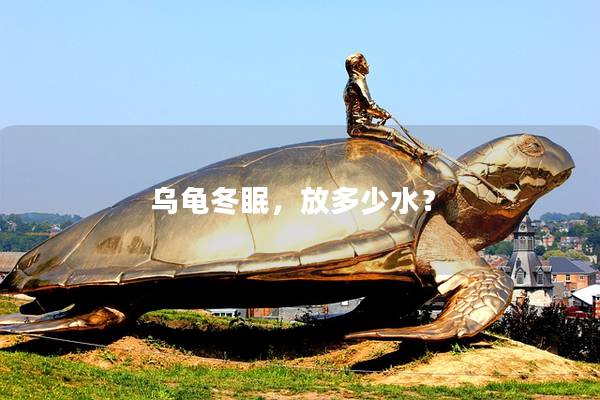 乌龟冬眠，放多少水？