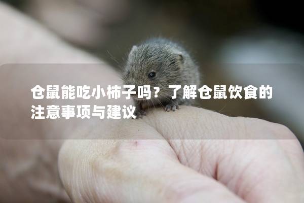 仓鼠能吃小柿子吗？了解仓鼠饮食的注意事项与建议