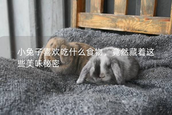小兔子喜欢吃什么食物，竟然藏着这些美味秘密