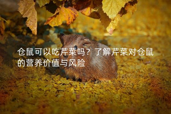 仓鼠可以吃芹菜吗？了解芹菜对仓鼠的营养价值与风险