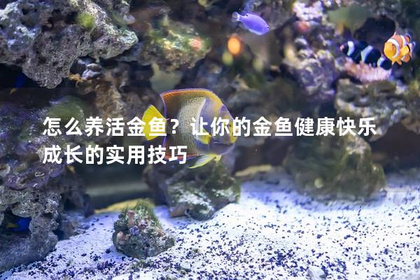 怎么养活金鱼？让你的金鱼健康快乐成长的实用技巧