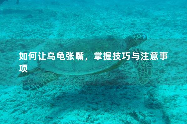 如何让乌龟张嘴，掌握技巧与注意事项