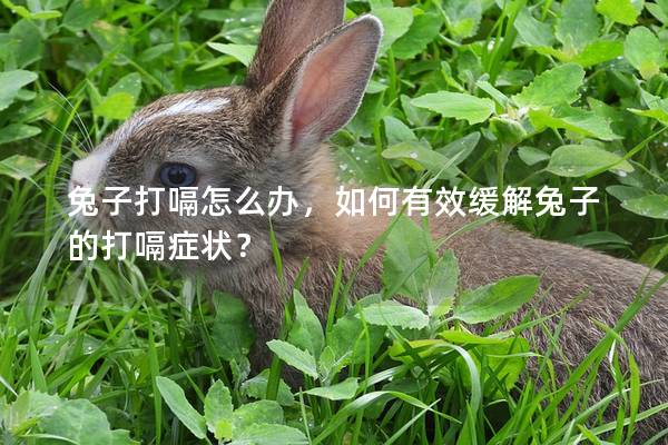 兔子打嗝怎么办，如何有效缓解兔子的打嗝症状？
