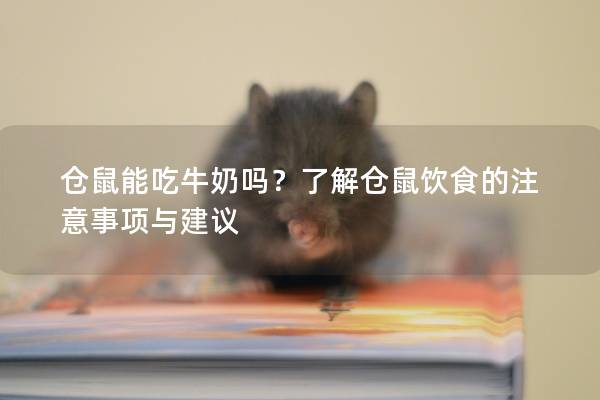 仓鼠能吃牛奶吗？了解仓鼠饮食的注意事项与建议