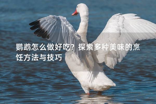 鹦鹉怎么做好吃？探索多种美味的烹饪方法与技巧