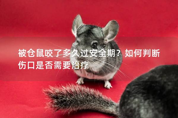 被仓鼠咬了多久过安全期？如何判断伤口是否需要治疗
