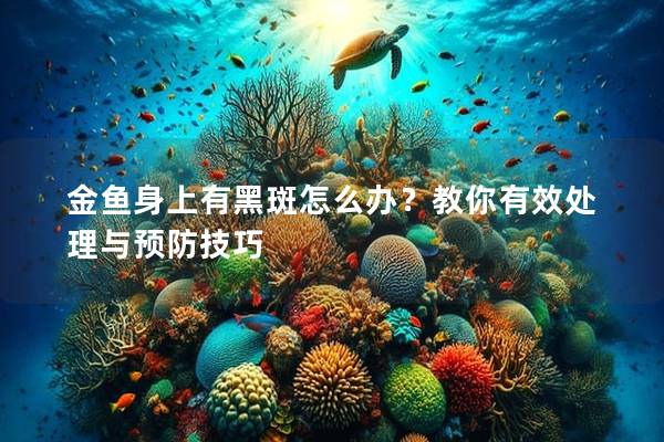 金鱼身上有黑斑怎么办？教你有效处理与预防技巧