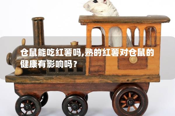 仓鼠能吃红薯吗,熟的红薯对仓鼠的健康有影响吗？