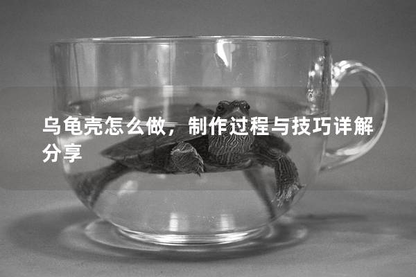 乌龟壳怎么做，制作过程与技巧详解分享