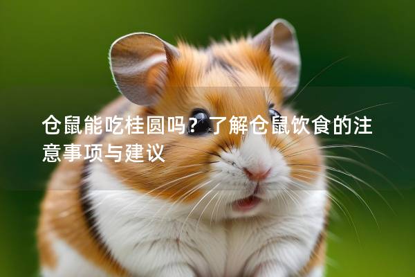 仓鼠能吃桂圆吗？了解仓鼠饮食的注意事项与建议