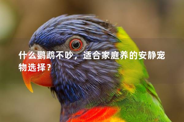 什么鹦鹉不吵，适合家庭养的安静宠物选择？