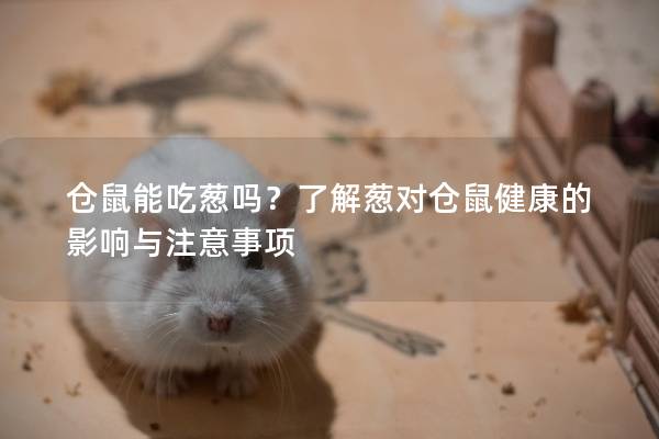 仓鼠能吃葱吗？了解葱对仓鼠健康的影响与注意事项