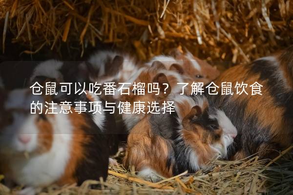 仓鼠可以吃番石榴吗？了解仓鼠饮食的注意事项与健康选择