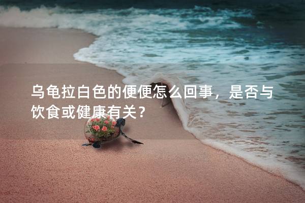 乌龟拉白色的便便怎么回事，是否与饮食或健康有关？