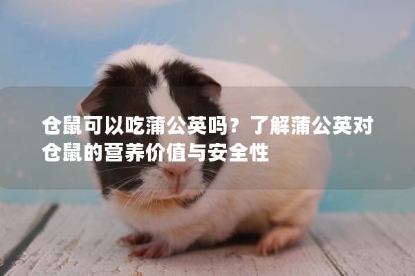仓鼠可以吃蒲公英吗？了解蒲公英对仓鼠的营养价值与安全性