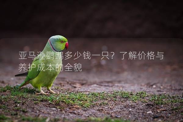 亚马逊鹦鹉多少钱一只？了解价格与养护成本的全貌