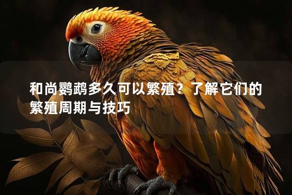 和尚鹦鹉多久可以繁殖？了解它们的繁殖周期与技巧