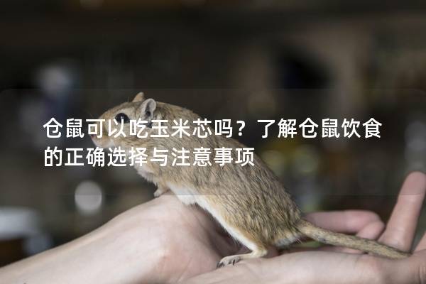 仓鼠可以吃玉米芯吗？了解仓鼠饮食的正确选择与注意事项
