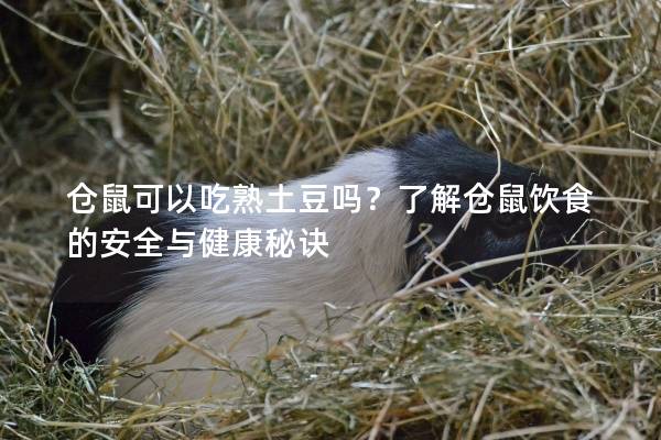 仓鼠可以吃熟土豆吗？了解仓鼠饮食的安全与健康秘诀