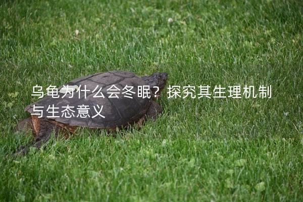 乌龟为什么会冬眠？探究其生理机制与生态意义