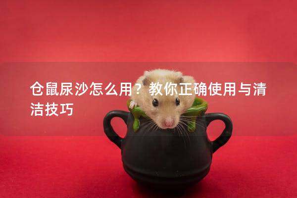 仓鼠尿沙怎么用？教你正确使用与清洁技巧