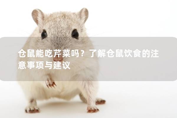 仓鼠能吃芹菜吗？了解仓鼠饮食的注意事项与建议