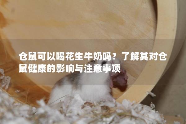 仓鼠可以喝花生牛奶吗？了解其对仓鼠健康的影响与注意事项
