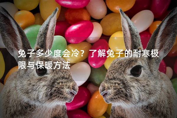 兔子多少度会冷？了解兔子的耐寒极限与保暖方法
