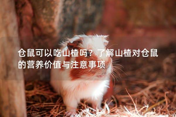 仓鼠可以吃山楂吗？了解山楂对仓鼠的营养价值与注意事项