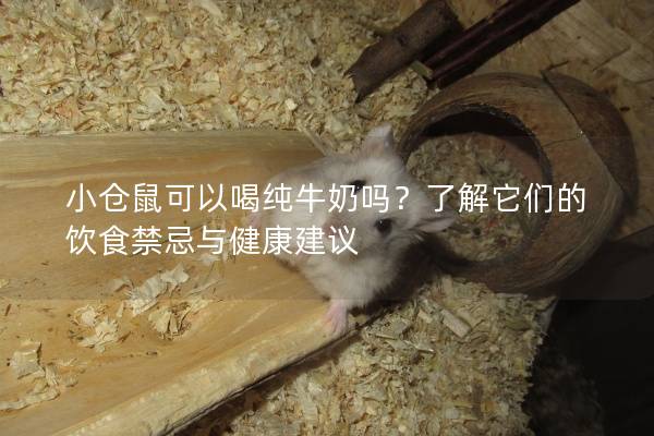 小仓鼠可以喝纯牛奶吗？了解它们的饮食禁忌与健康建议