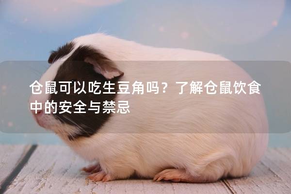 仓鼠可以吃生豆角吗？了解仓鼠饮食中的安全与禁忌