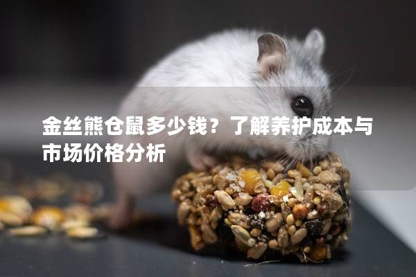 金丝熊仓鼠多少钱？了解养护成本与市场价格分析