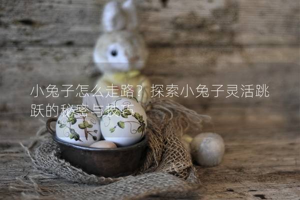 小兔子怎么走路？探索小兔子灵活跳跃的秘密与技巧