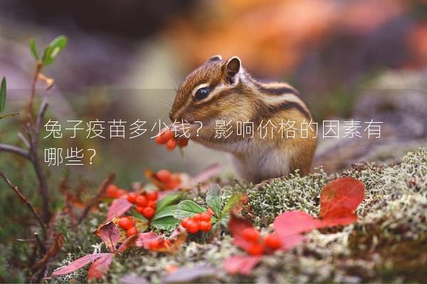 兔子疫苗多少钱？影响价格的因素有哪些？